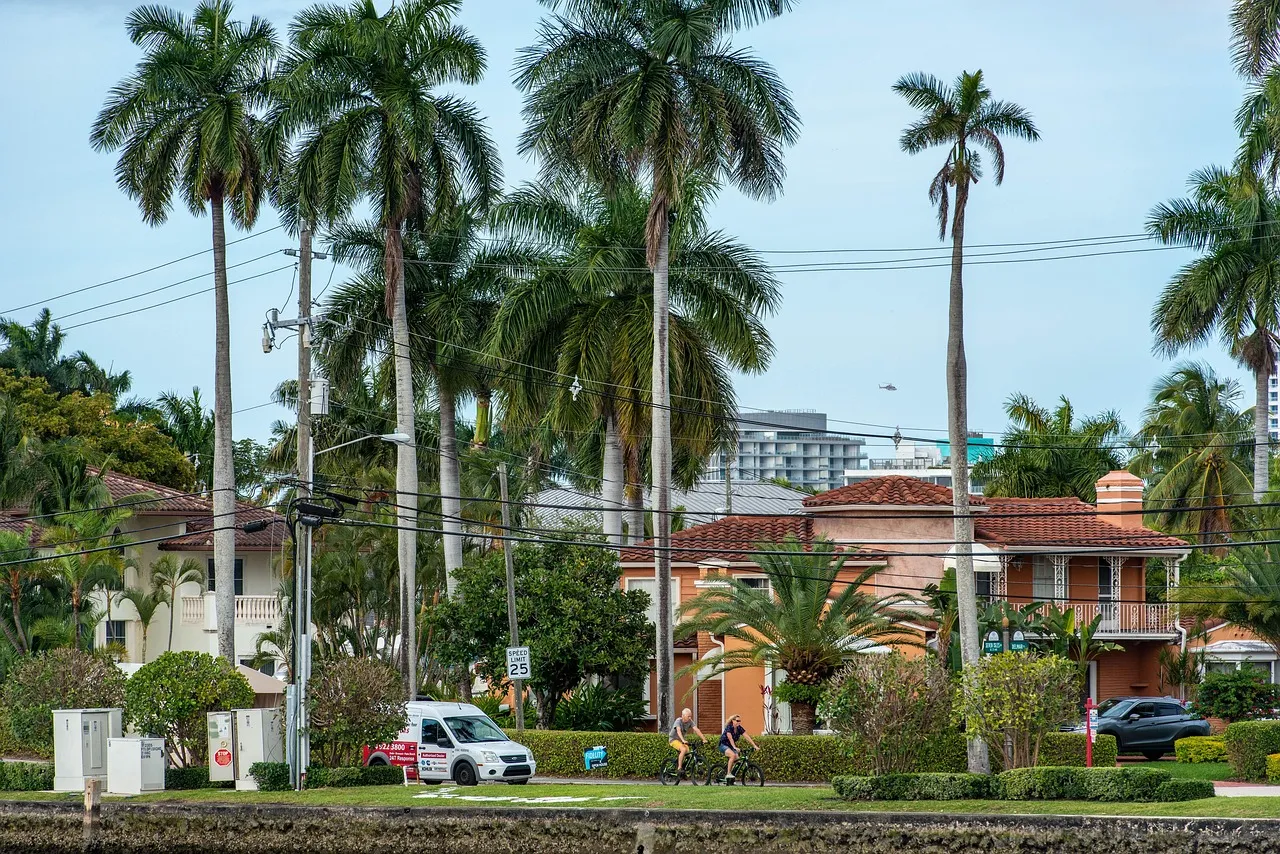 Florida residential neighborhood with tall palm trees