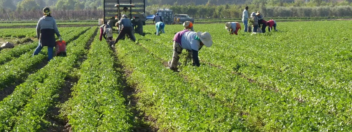 Visa H-2B para Trabajadores Temporales en Orlando — Florida Board Certified Immigration Law Center